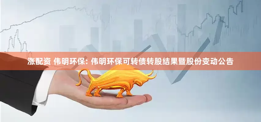 漲配資 偉明環(huán)保: 偉明環(huán)保可轉(zhuǎn)債轉(zhuǎn)股結(jié)果暨股份變動公告