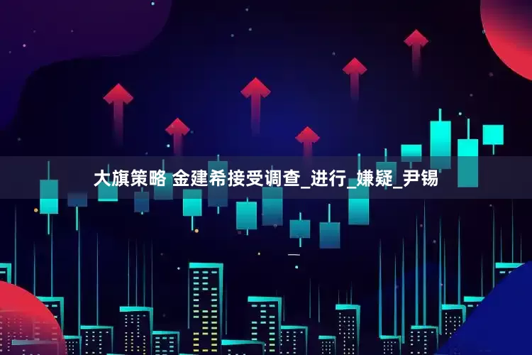 大旗策略 金建希接受調查_進行_嫌疑_尹錫